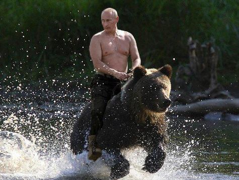 Путин на медведе