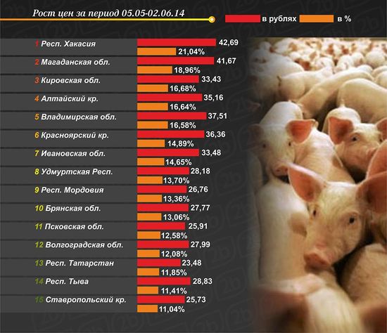 Цена свинины живым весом. Расценки на мясо свинины. Сколько стоит килограмм свинины на рынке.
