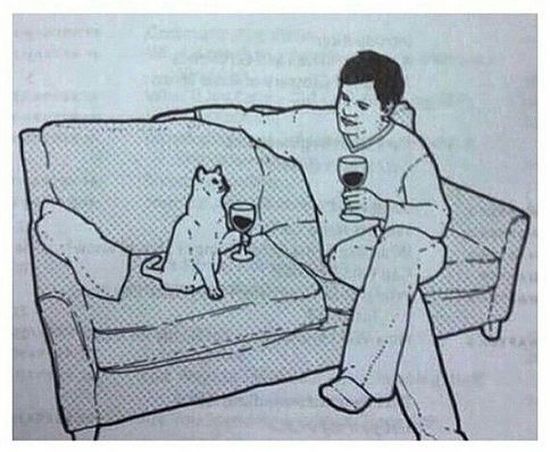 вино для котов 