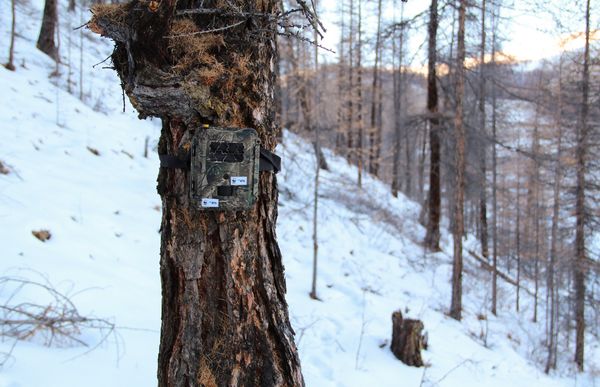 Сангилен. Тува