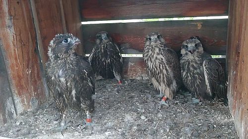 Фото Фонда «Мир Вокруг Тебя»