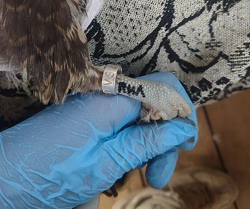 Фото Фонда «Мир Вокруг Тебя»