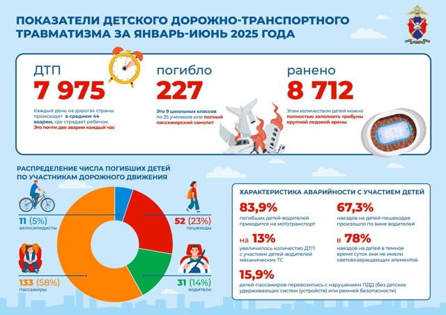 Инфографика предоставлена пресс-службой Госавтоинспекцией России Инфографика предоставлена пресс-службой Госавтоинспекцией России