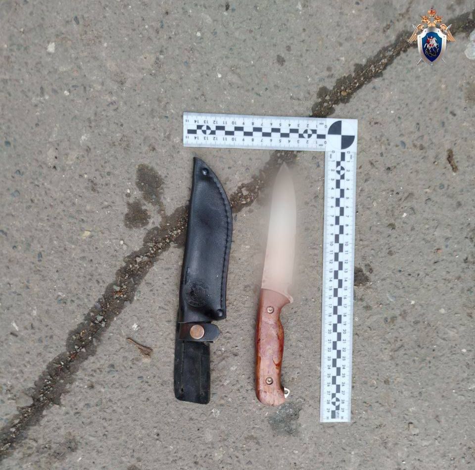 Фото: ГСУ СК России по Красноярскому краю и Хакасии