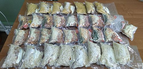 Фото: пресс-службы администрации Алтайского района