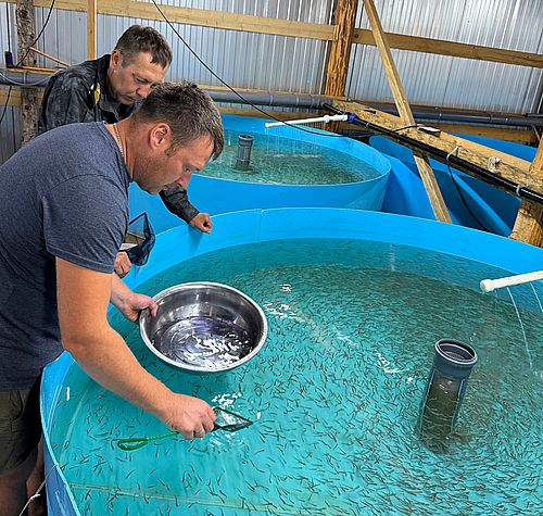 Фото пресс-службы разреза «Кирбинский» (актив компании «Русский Уголь») Фото пресс-службы разреза «Кирбинский» (актив компании «Русский Уголь»)