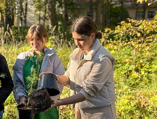Фото: пресс-службы Минлеса Хакасии