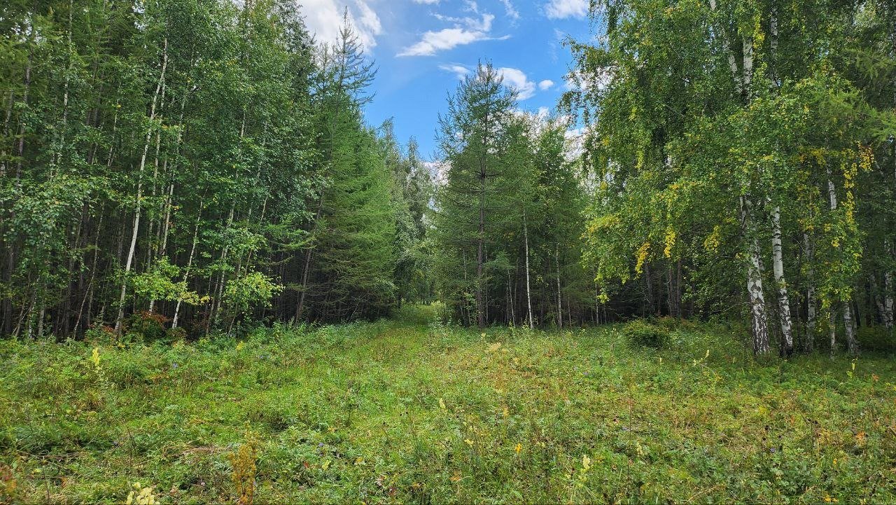 Фото Управления Россельхознадзора по Хакасии и Туве