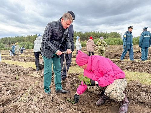 Фото пресс-службы Минлеса Хакасии