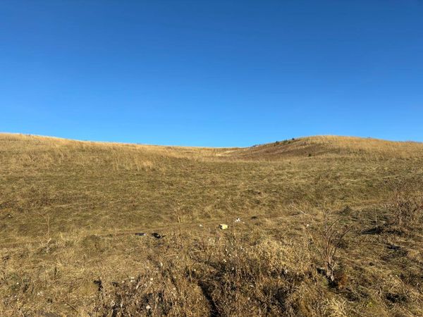 Фото СКР по Красноярскому краю и Хакасии