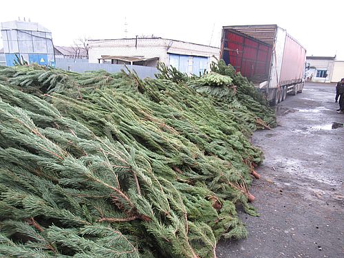 Фото пресс-службы Тюменской таможни 