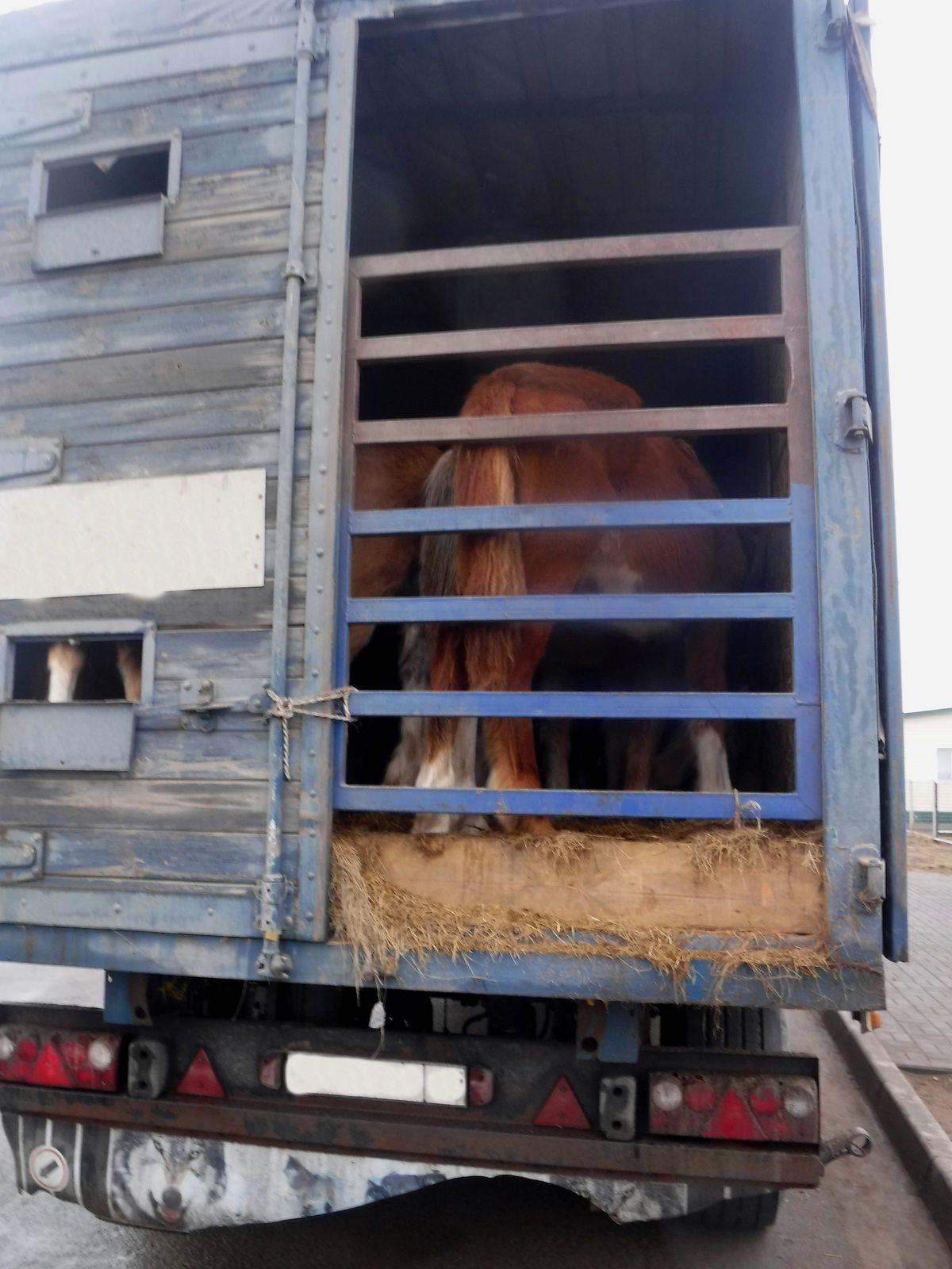 Фото Алтайской таможни